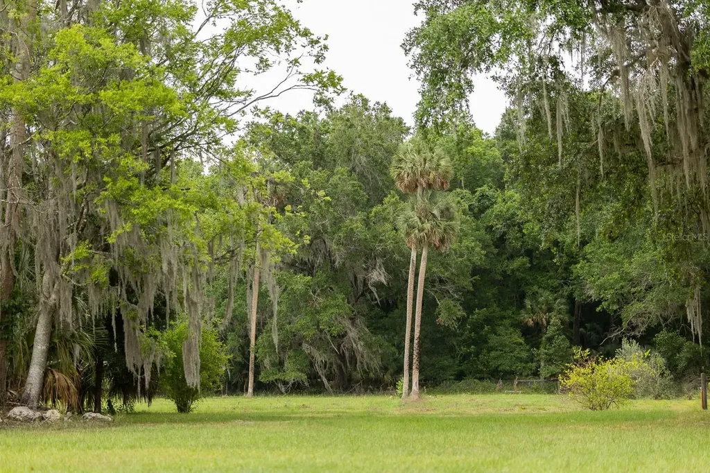 18833 NE 24th Avenue Citra FL 32113