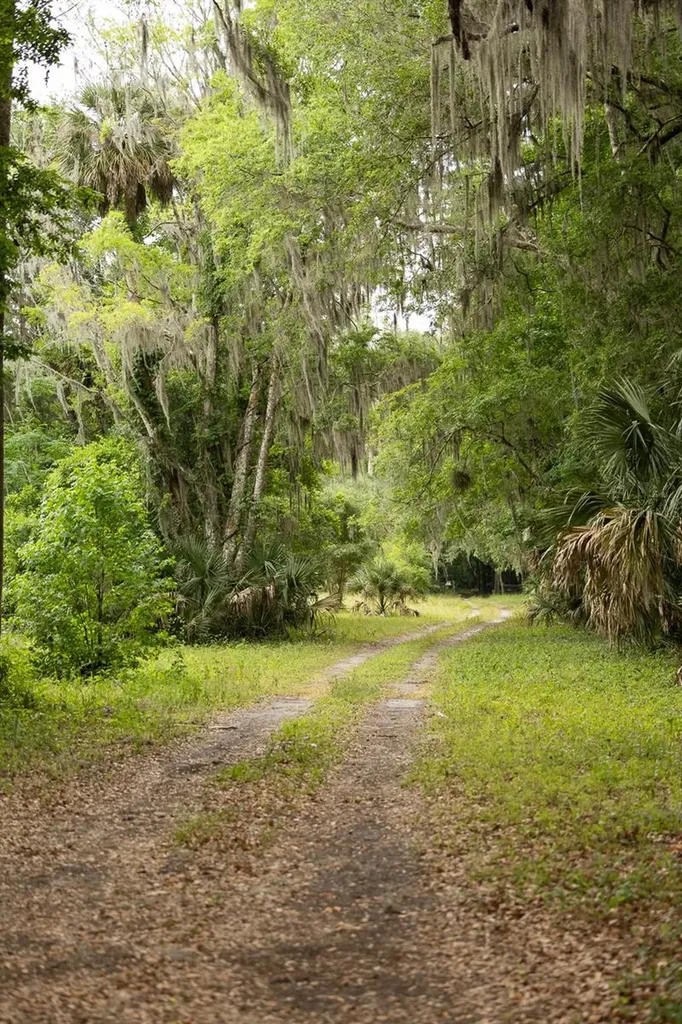 18833 NE 24th Avenue Citra FL 32113