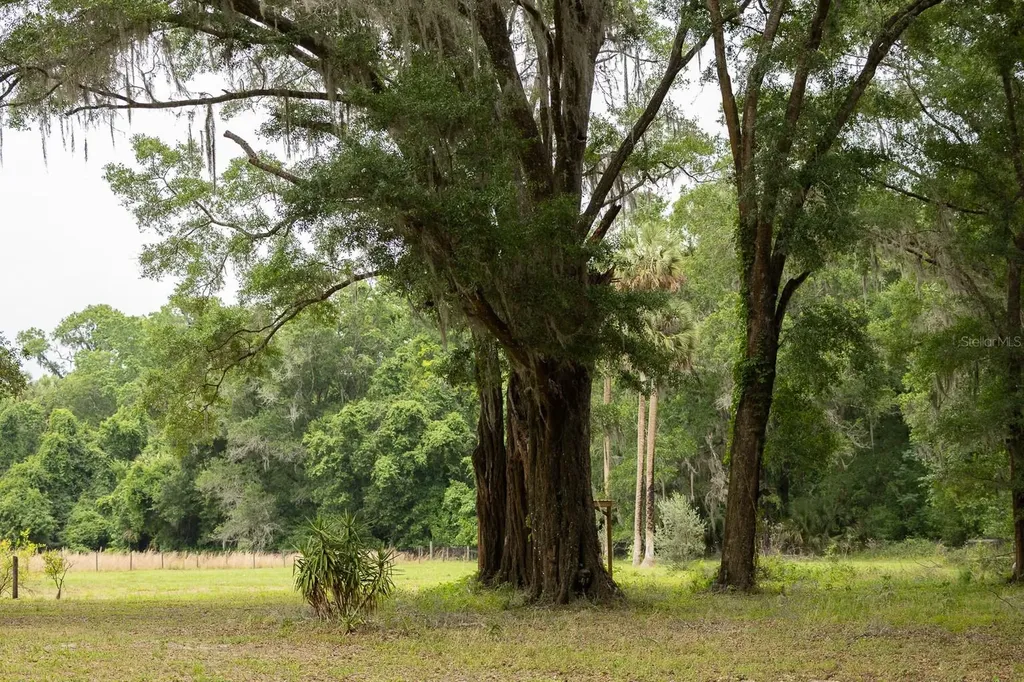18833 NE 24th Avenue Citra FL 32113