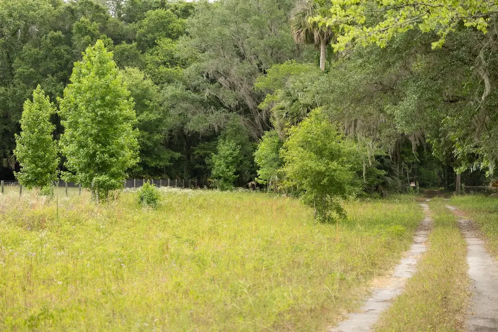 18833 NE 24th Avenue Citra FL 32113