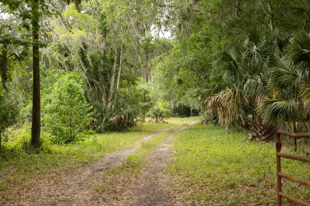 18833 NE 24th Avenue Citra FL 32113