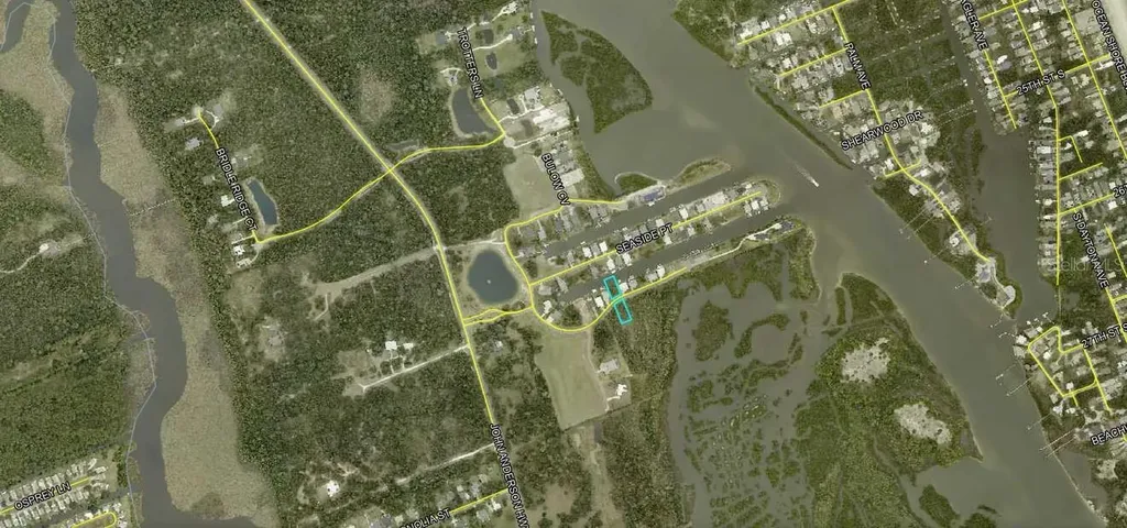 223 Seaside Landings Drive S Flagler Beach FL 32136