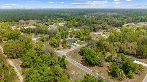 5 Malauka Loop Track Ocklawaha FL 32179