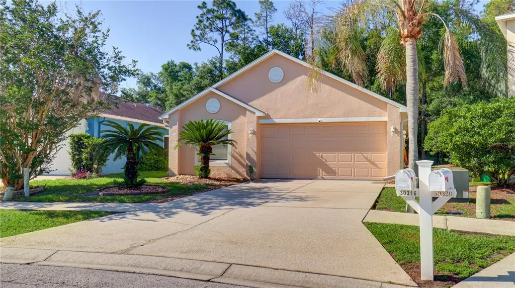 30316 Double Drive Wesley Chapel FL 33545