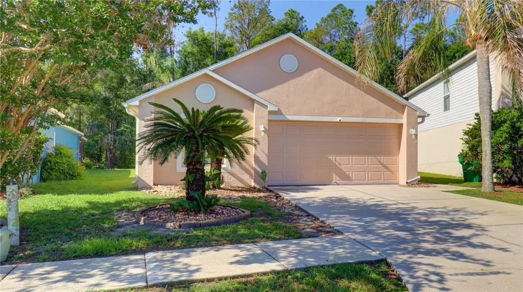 30316 Double Drive Wesley Chapel FL 33545