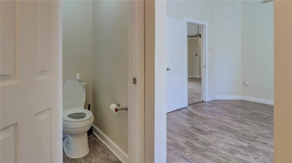 30316 Double Drive Wesley Chapel FL 33545