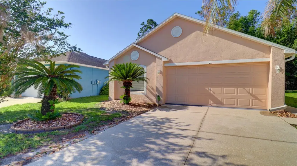 30316 Double Drive Wesley Chapel FL 33545