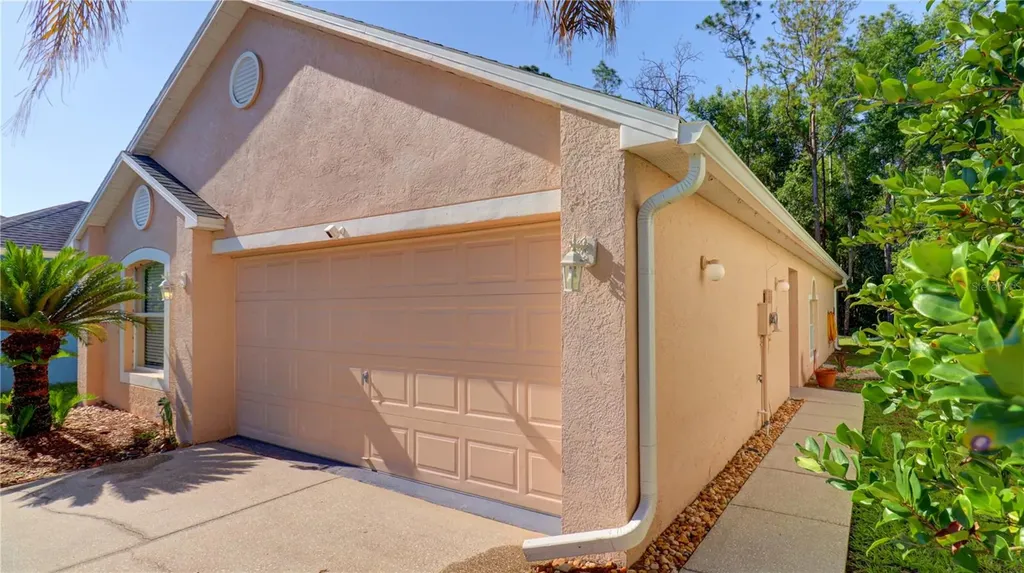 30316 Double Drive Wesley Chapel FL 33545