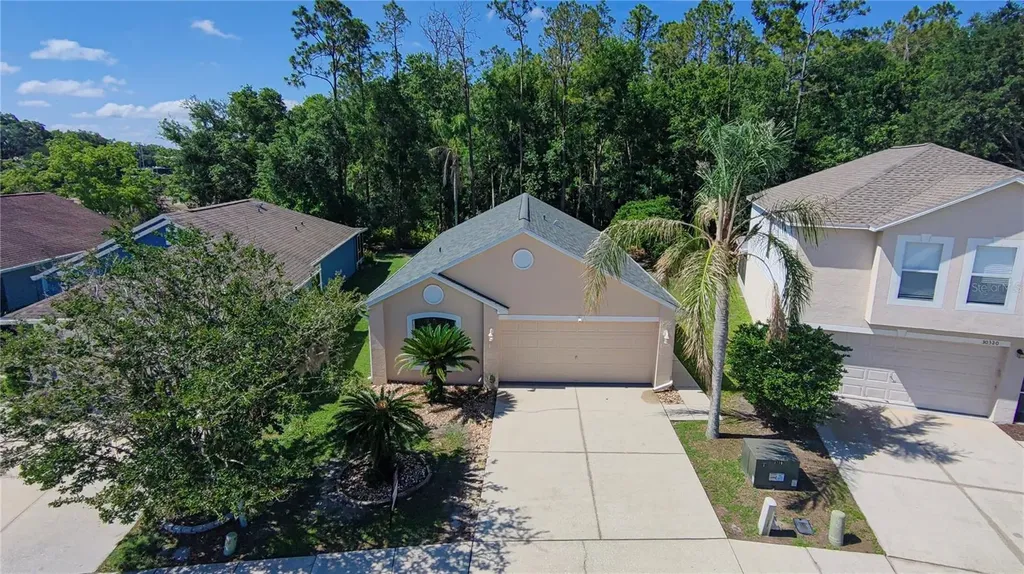 30316 Double Drive Wesley Chapel FL 33545