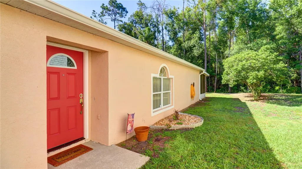 30316 Double Drive Wesley Chapel FL 33545