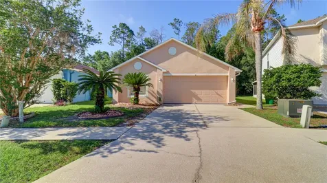30316 Double Drive Wesley Chapel FL 33545
