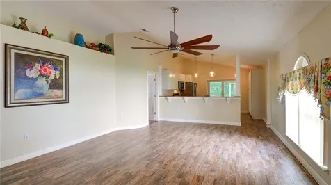 30316 Double Drive Wesley Chapel FL 33545