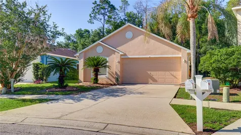 30316 Double Drive Wesley Chapel FL 33545
