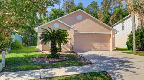 30316 Double Drive Wesley Chapel FL 33545