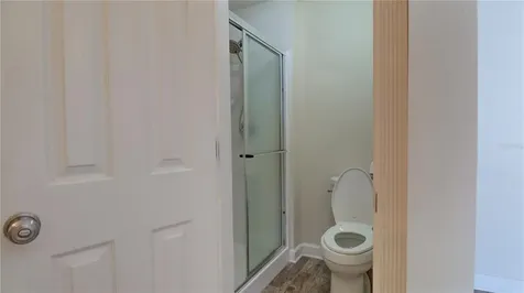 30316 Double Drive Wesley Chapel FL 33545