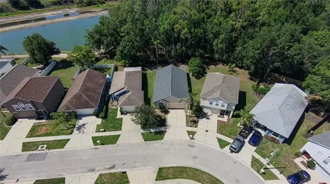 30316 Double Drive Wesley Chapel FL 33545