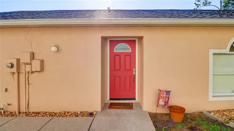 30316 Double Drive Wesley Chapel FL 33545