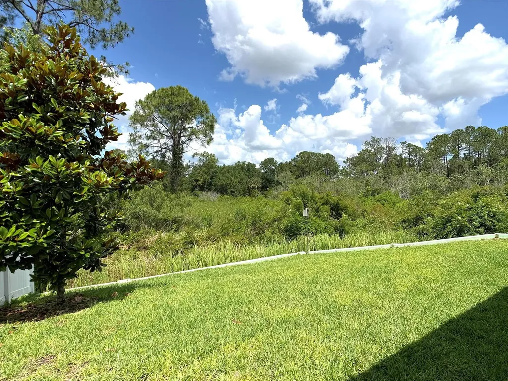 1337 Cascade Drive Davenport FL 33837