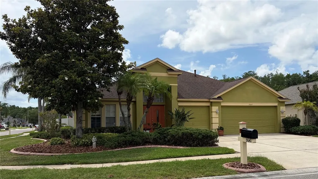 19640 Bergenfeld Drive Land O Lakes FL 34638