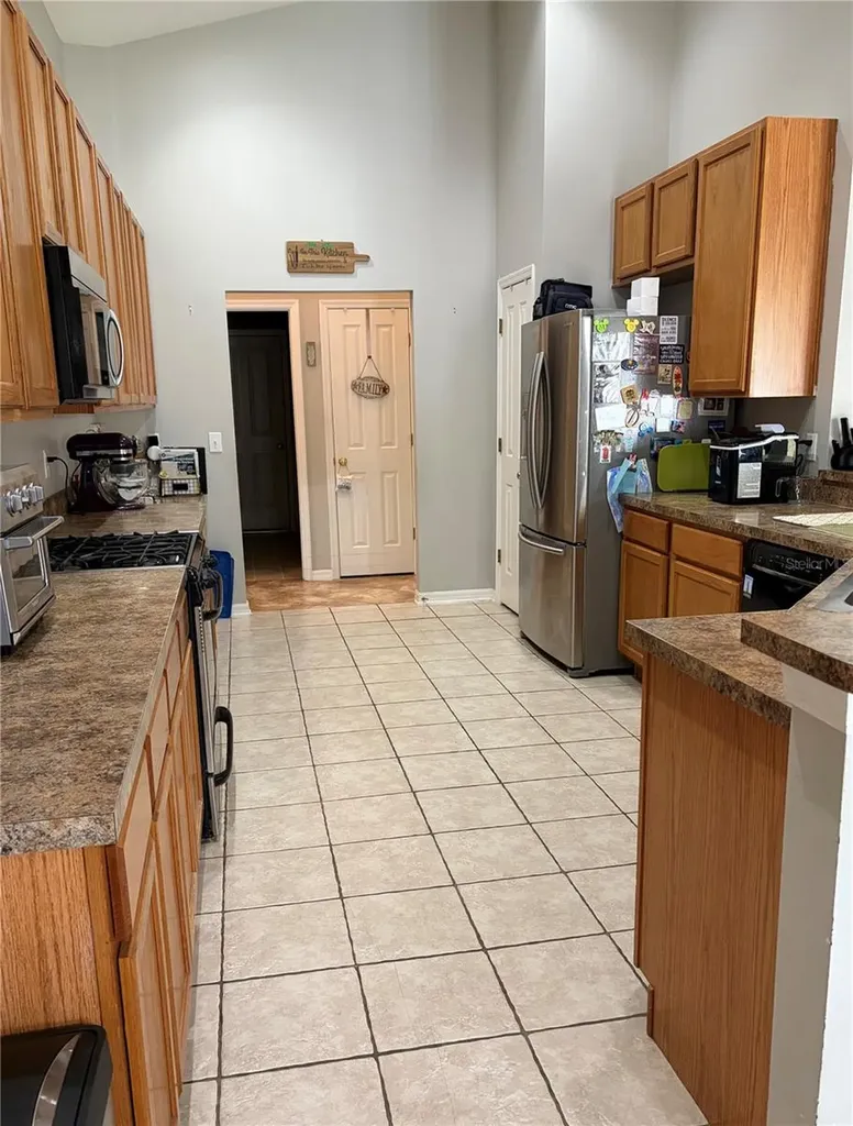 19640 Bergenfeld Drive Land O Lakes FL 34638