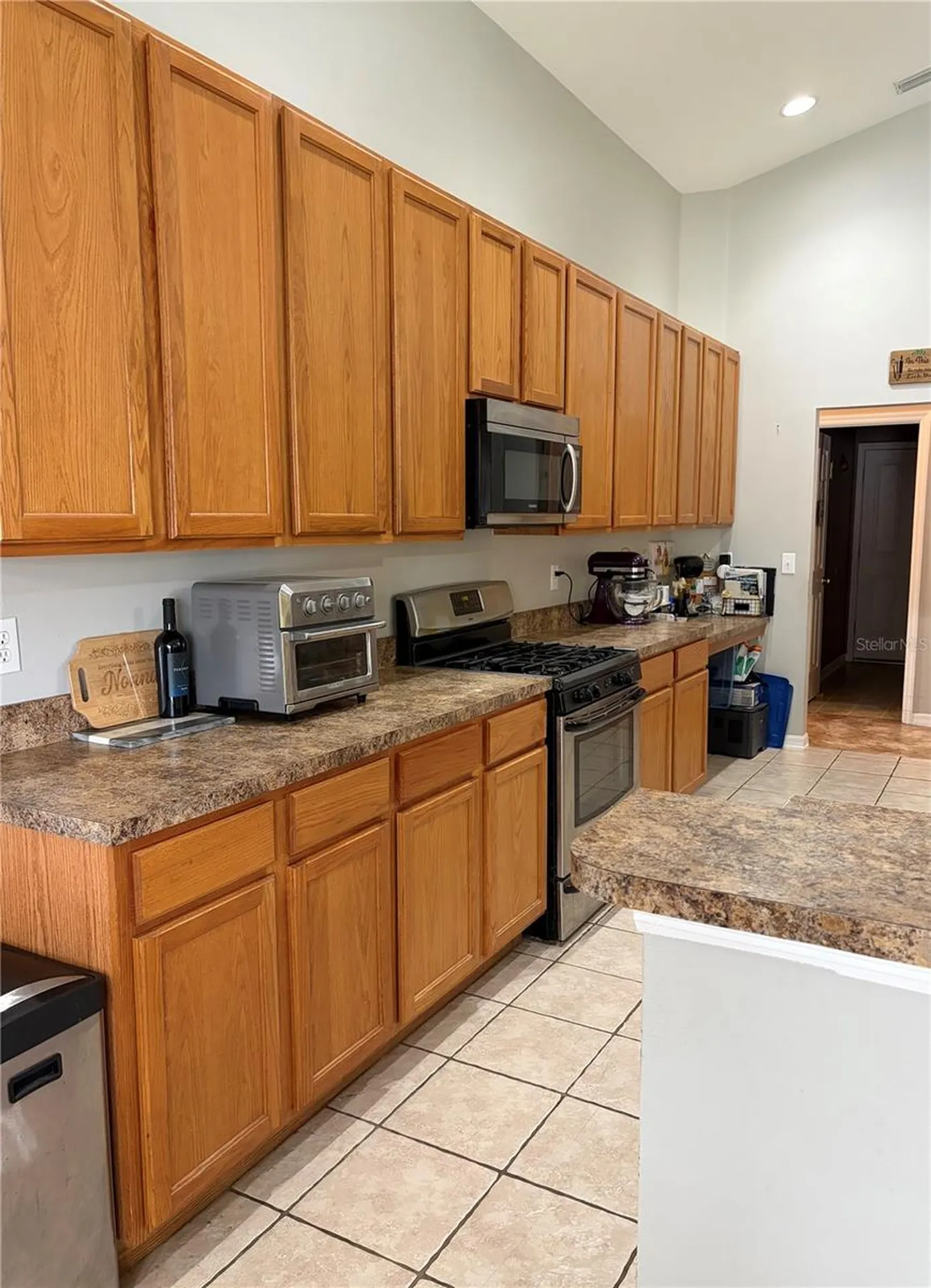 19640 Bergenfeld Drive Land O Lakes FL 34638