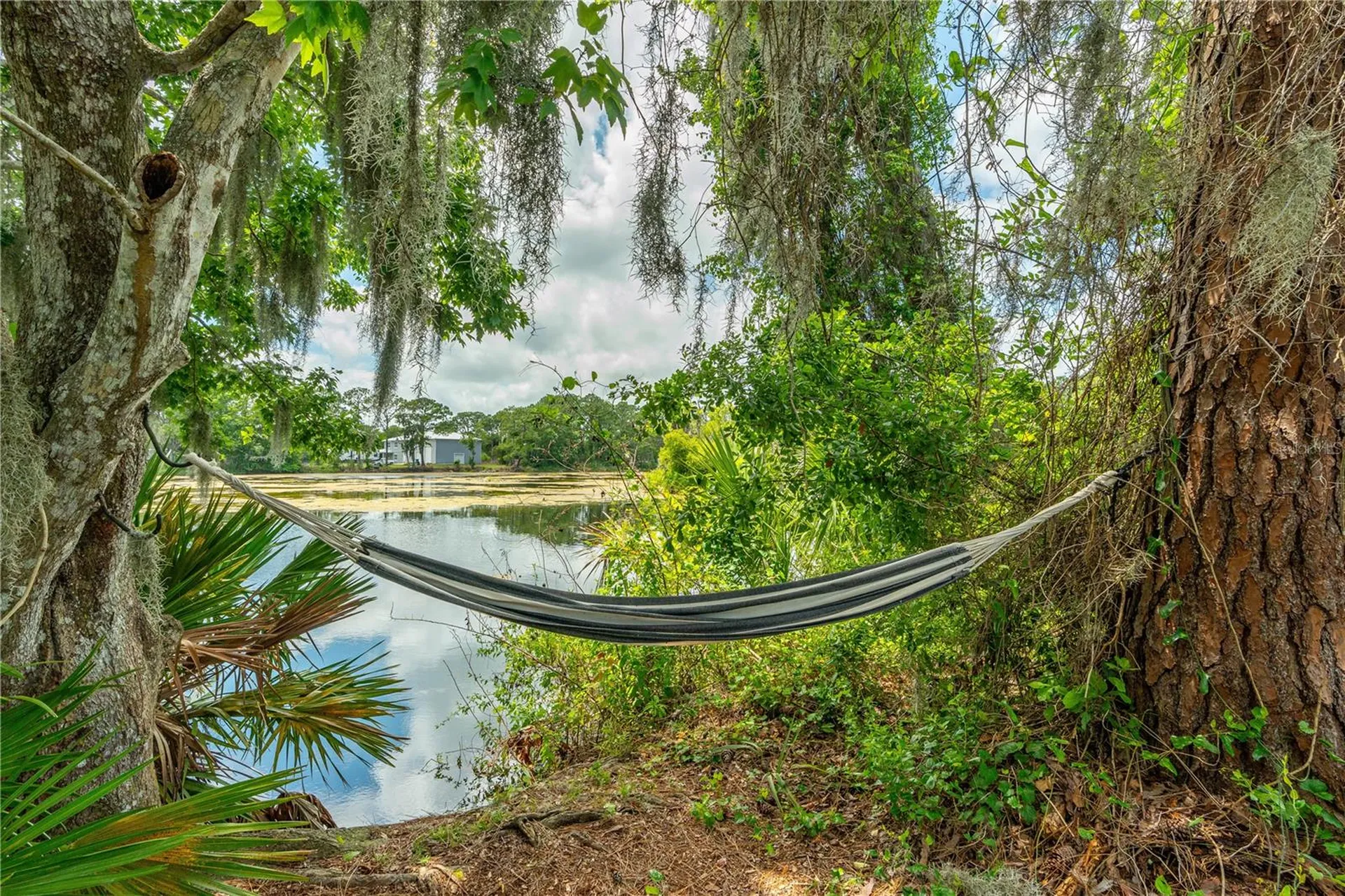 1055 Acee Drive New Smyrna Beach FL 32168