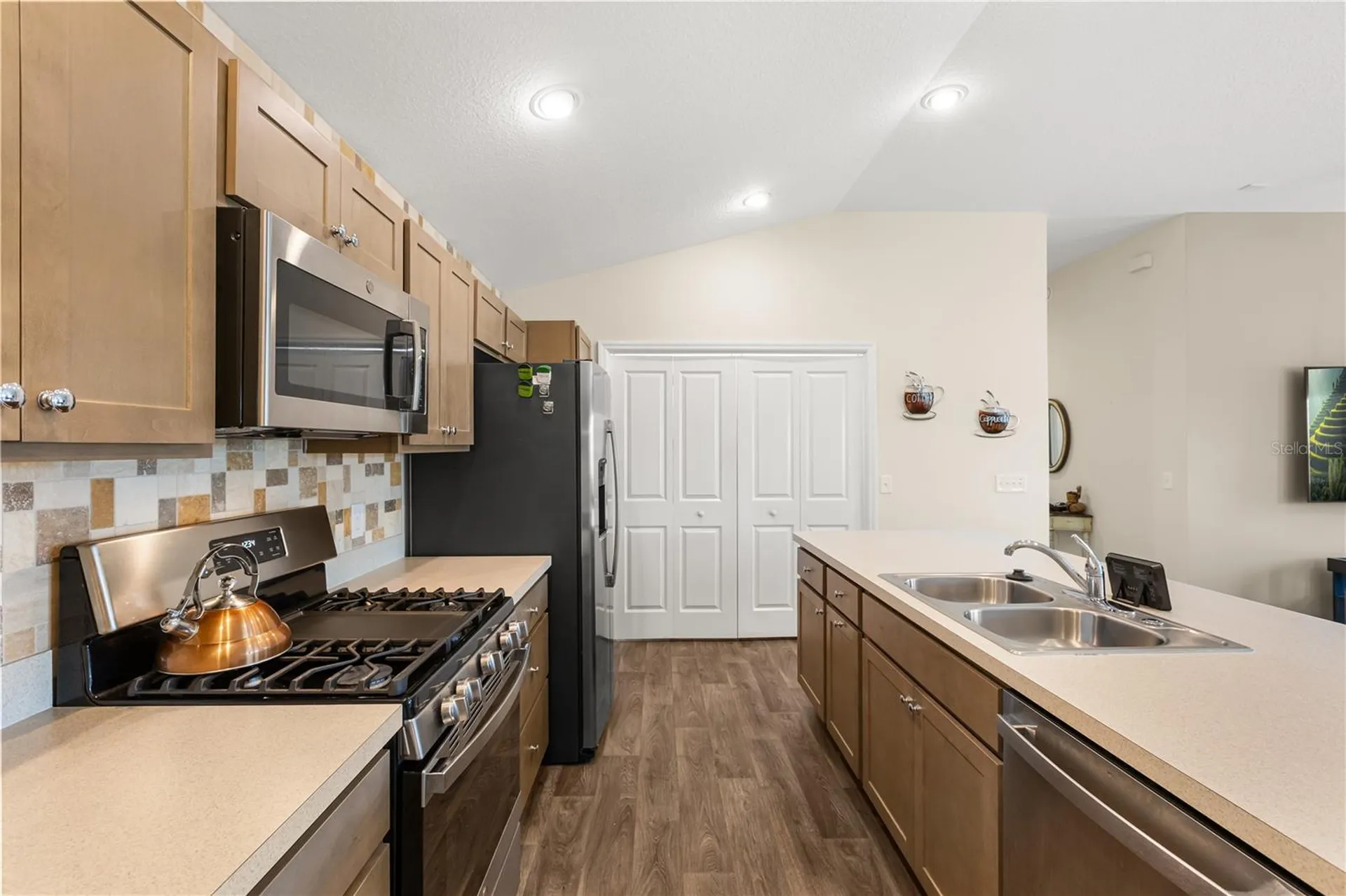 4295 Fredda Terrace The Villages FL 32163