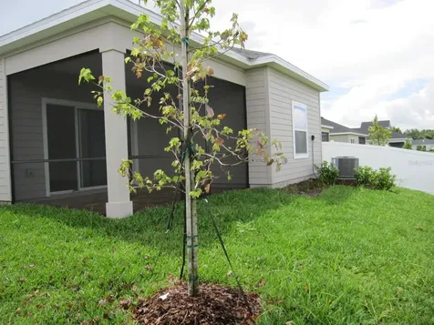 4494 NW 14th Loop Ocala FL 34482