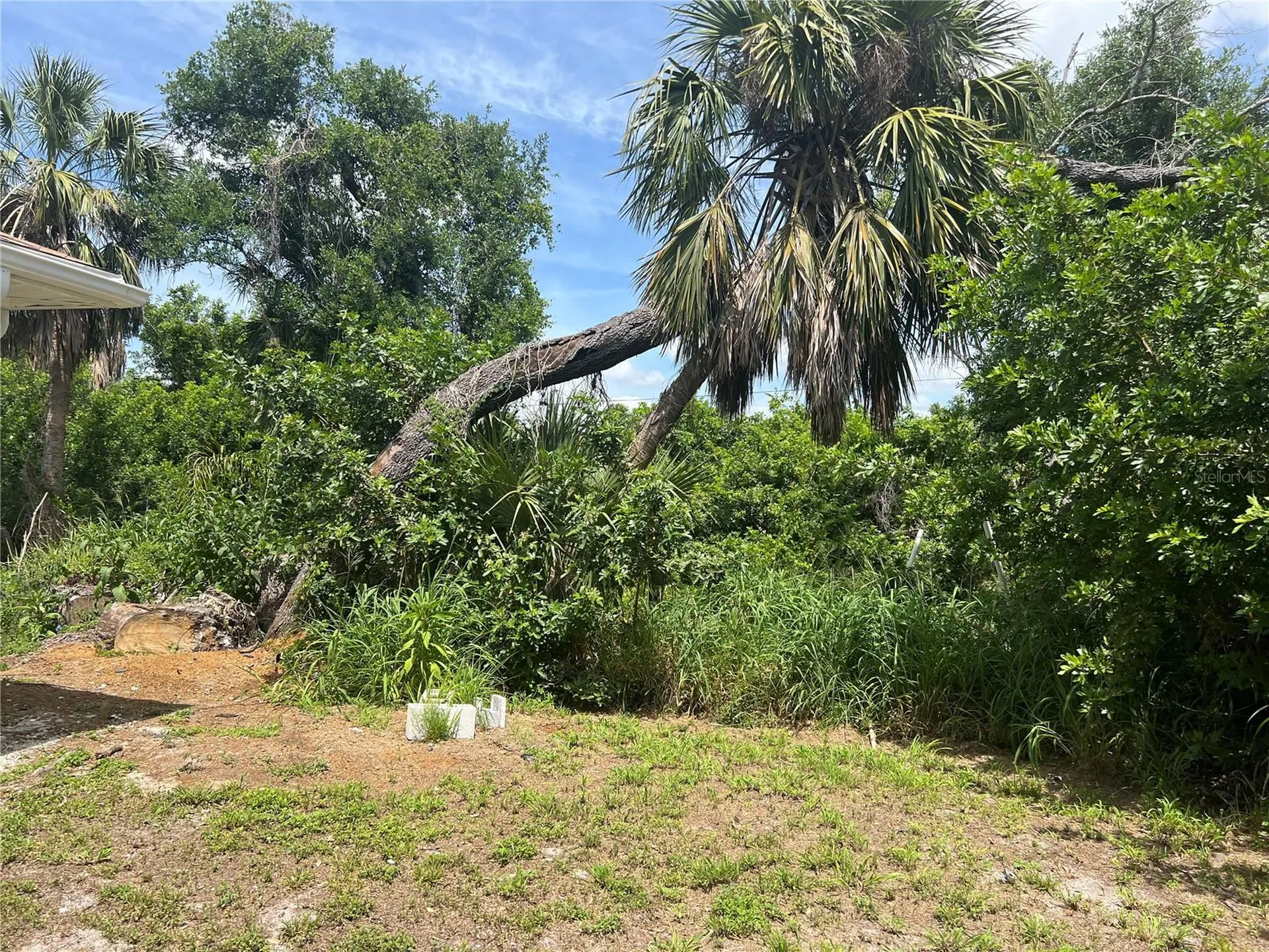 1516 Abel Street Port Charlotte FL 33952