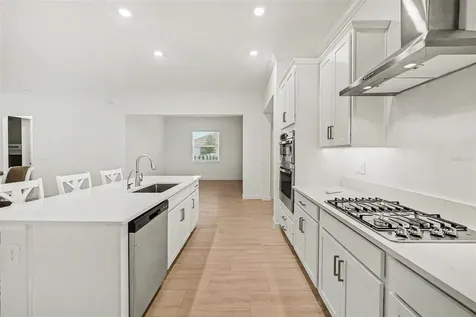 17415 Holly Well Avenue Wimauma FL 33598