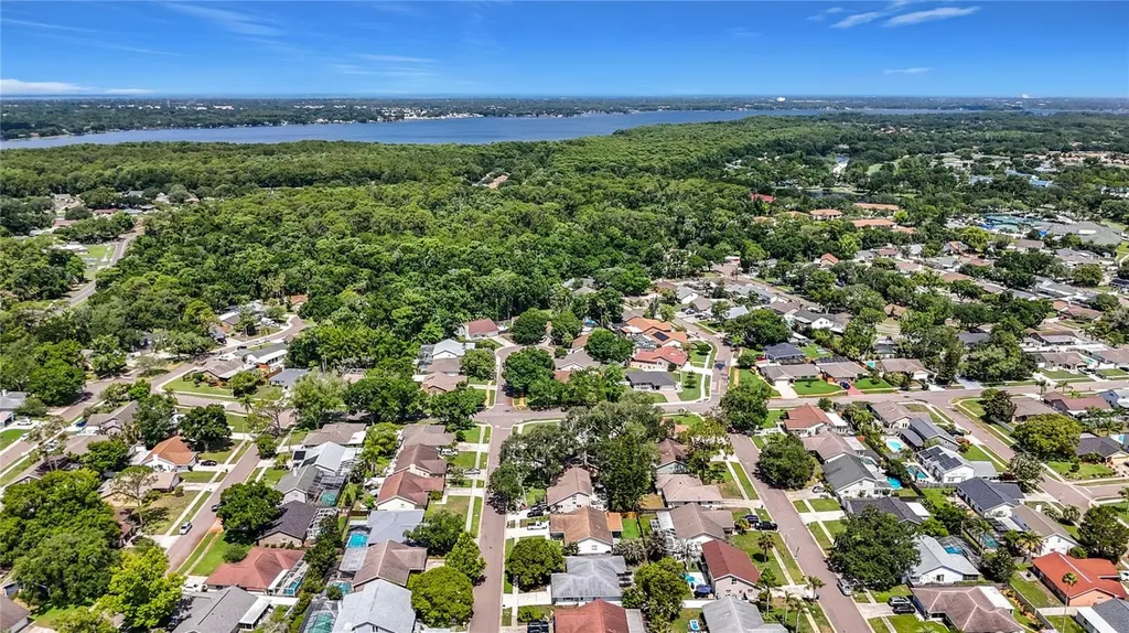 2825 Wendover Terrace Palm Harbor FL 34685