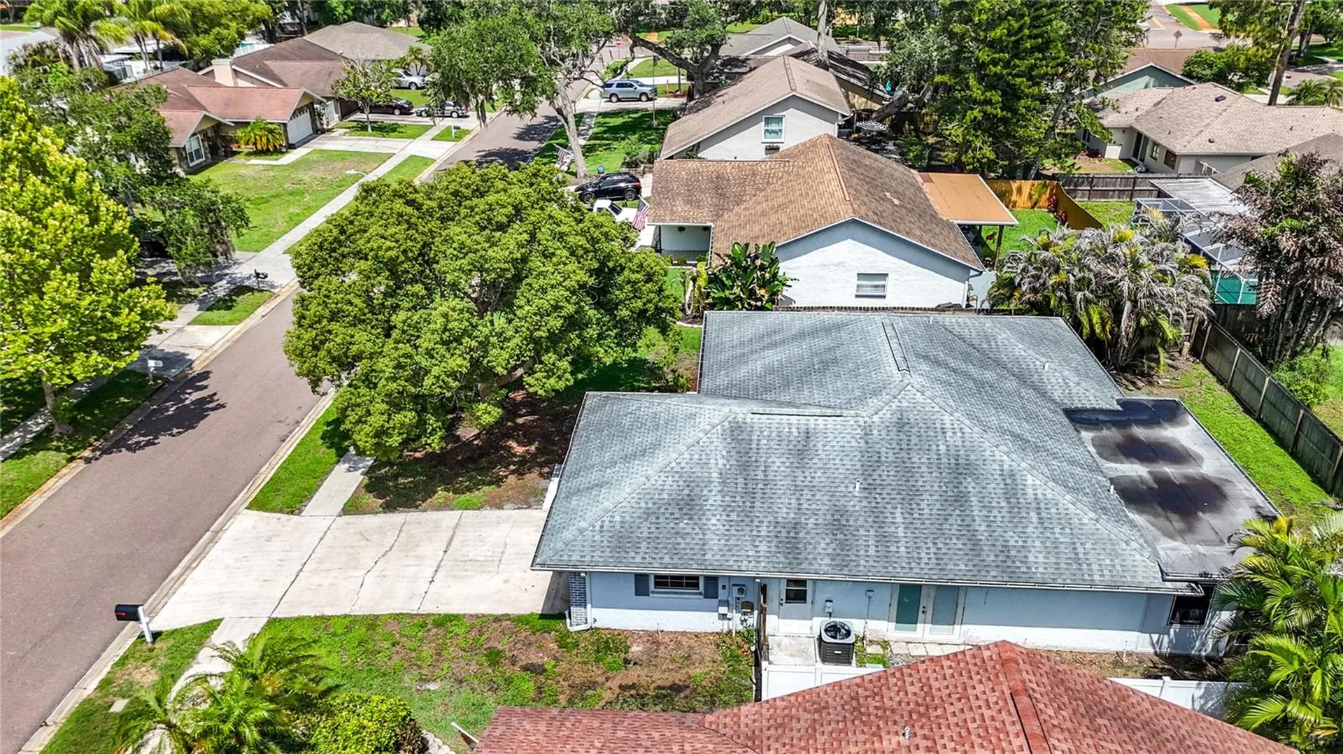 2825 Wendover Terrace Palm Harbor FL 34685