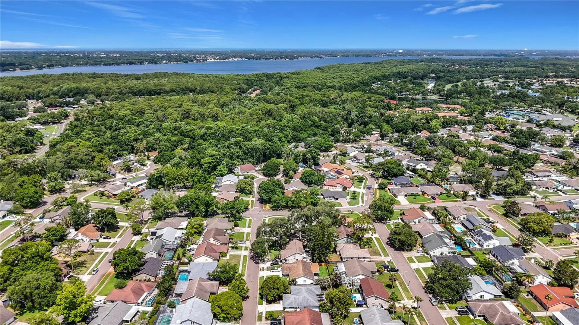 2825 Wendover Terrace Palm Harbor FL 34685