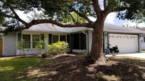 2825 Wendover Terrace Palm Harbor FL 34685