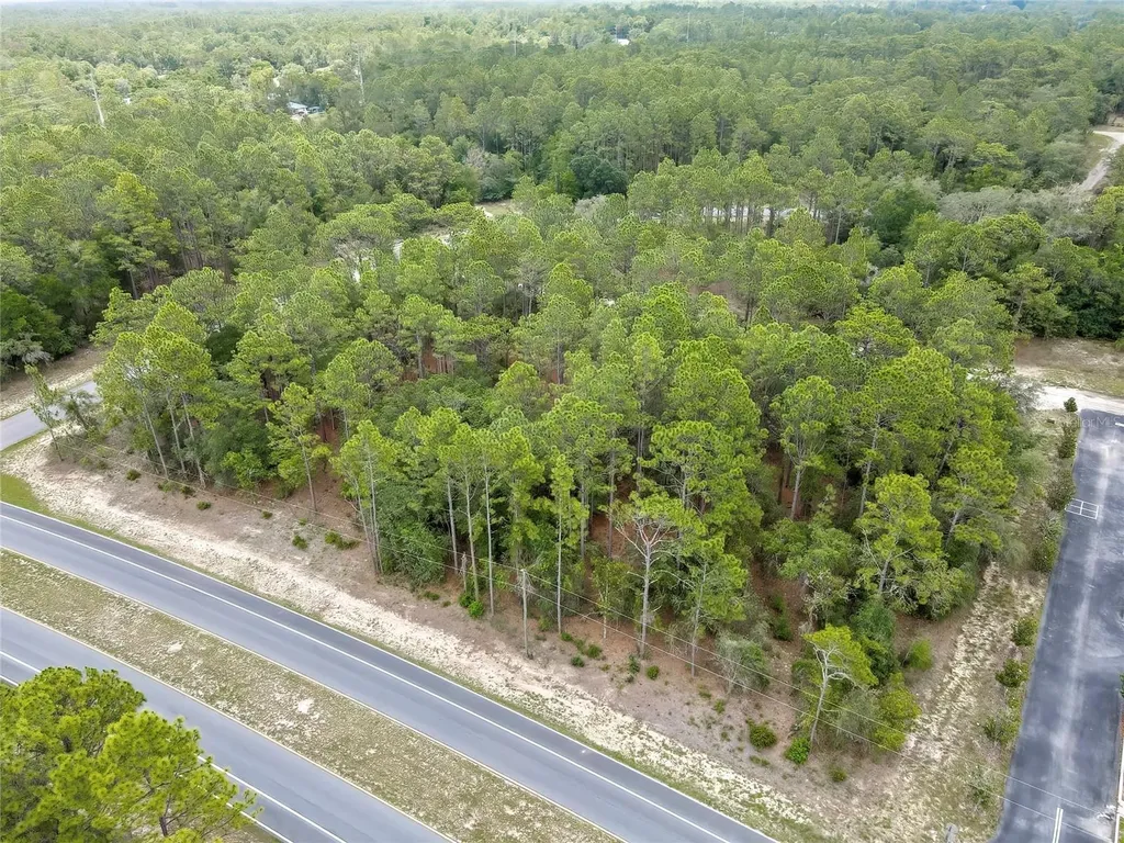 9787 N Citrus Springs Boulevard Citrus Springs FL 34434