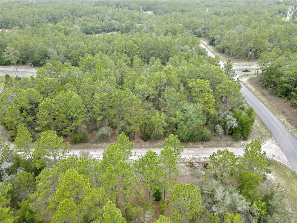 9787 N Citrus Springs Boulevard Citrus Springs FL 34434
