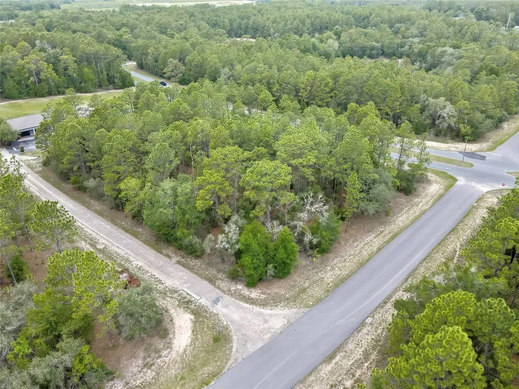 9787 N Citrus Springs Boulevard Citrus Springs FL 34434