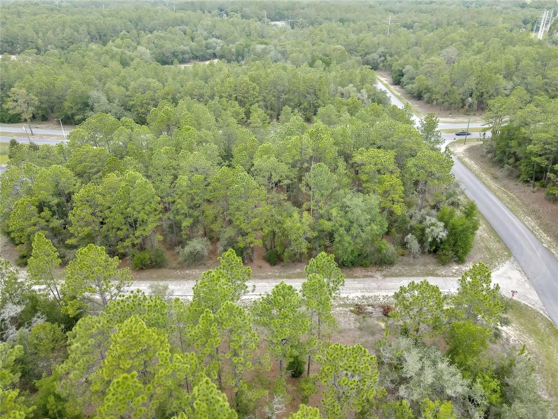 9787 N Citrus Springs Boulevard Citrus Springs FL 34434