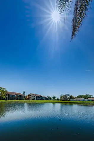 3835 Lighthouse Way New Port Richey FL 34652