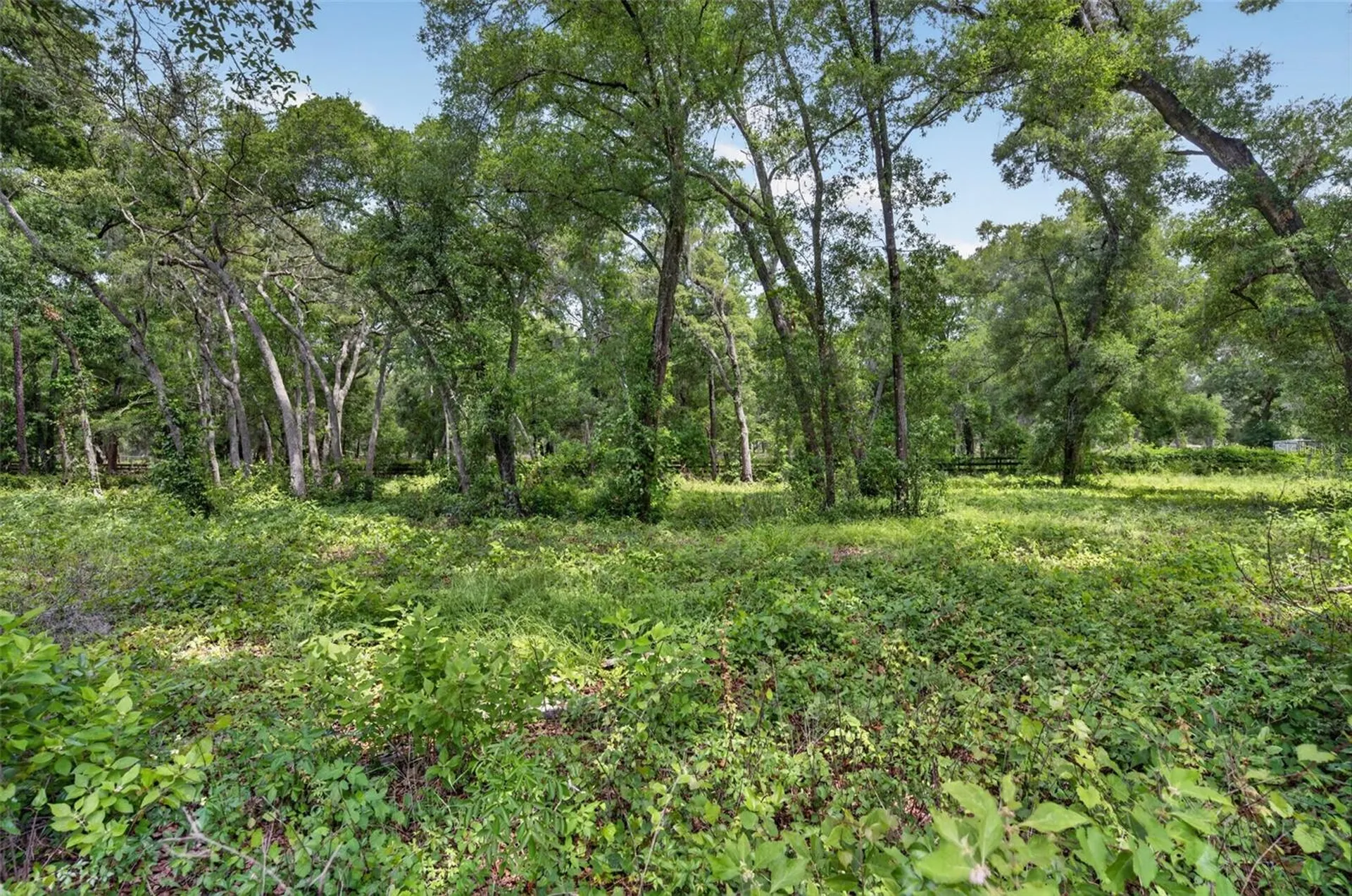 20621 Shady Oak Lane Eustis FL 32736