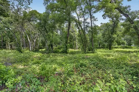 20621 Shady Oak Lane Eustis FL 32736