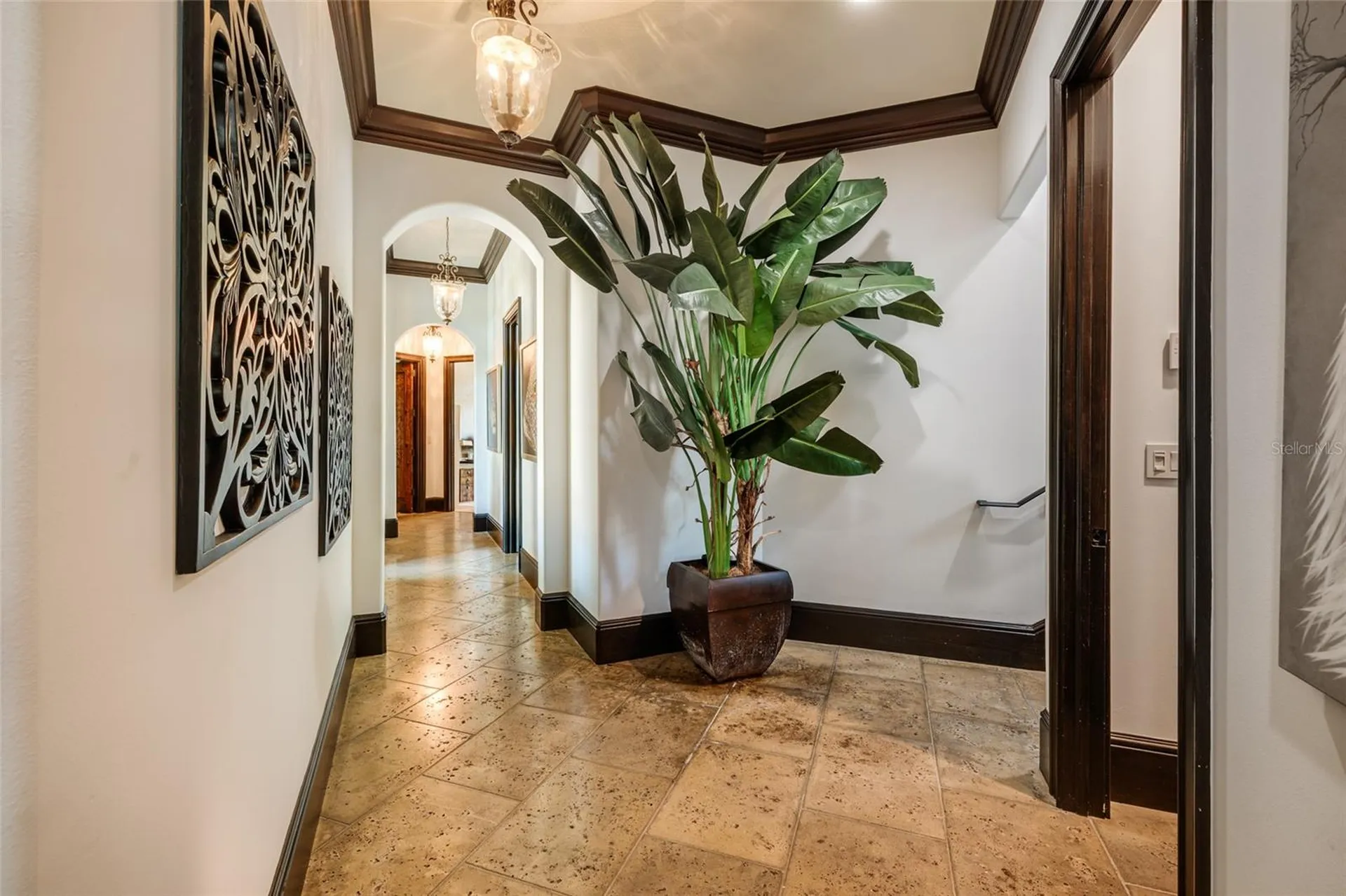 200 Brightwaters Boulevard NE St Petersburg FL 33704