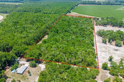 Tbd NW 40 Avenue Bell FL 32619