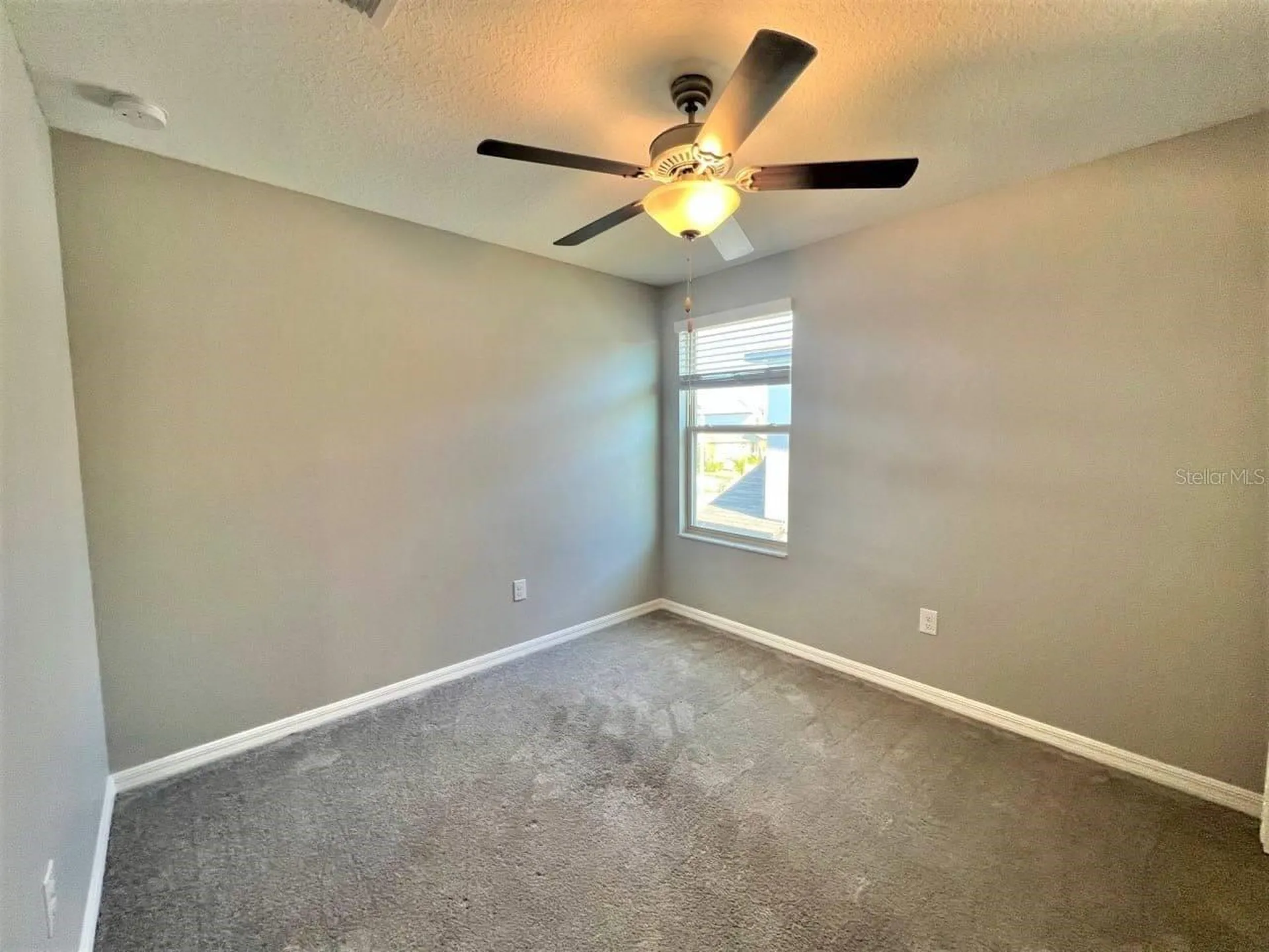 16717 Delia Street Wimauma FL 33598