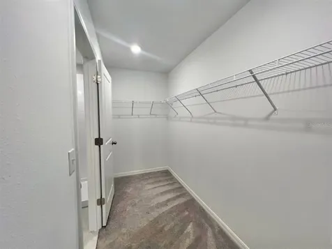 16717 Delia Street Wimauma FL 33598