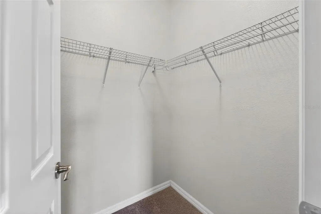 8108 Muddy Pines Place Tampa FL 33635