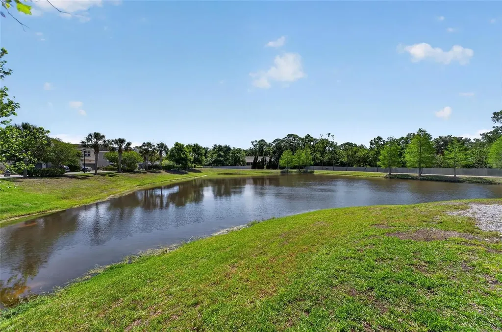 8108 Muddy Pines Place Tampa FL 33635