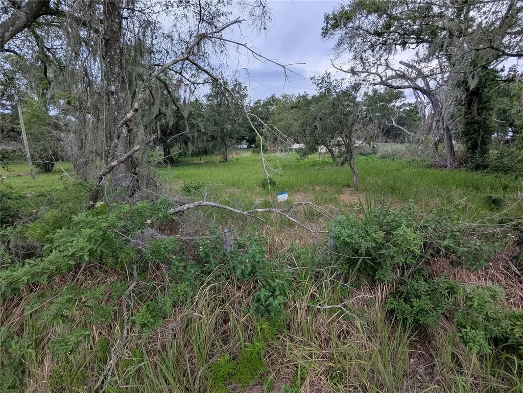 0 Central Avenue Mulberry FL 33860