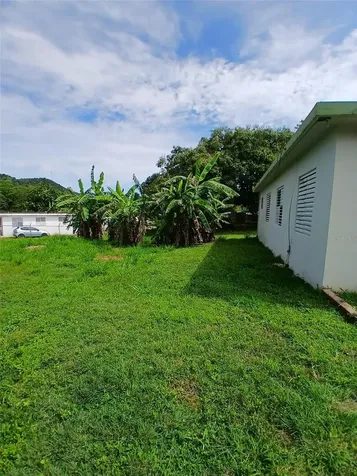 372 Sector Cotuy Yauco PR 00698