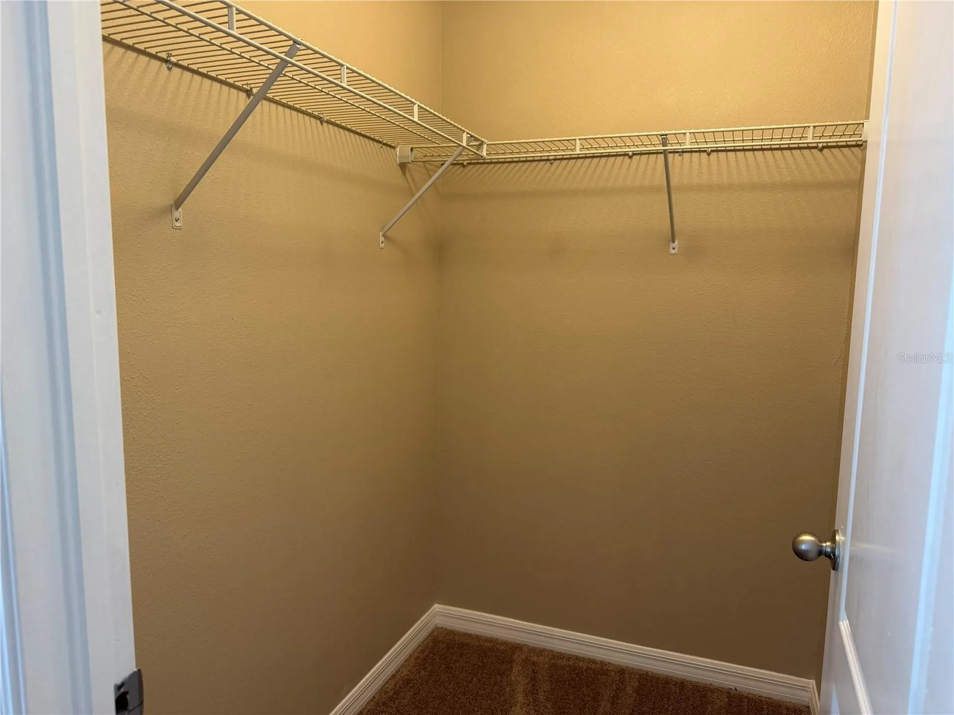 10273 Villa Palazzo Court Tampa FL 33615